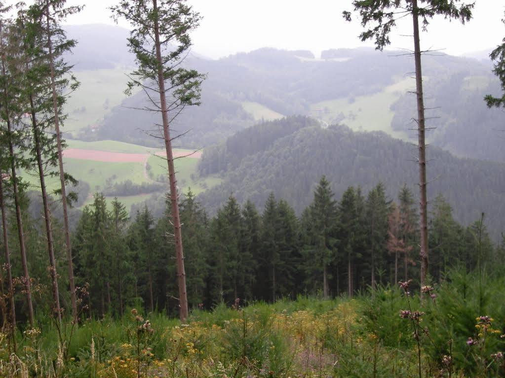 Отель Gasthaus Ochsen Muehlenbach Экстерьер фото